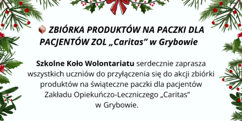 Zbiórka produktów do świątecznych paczek dla pacjentów ZOL „Caritas” w Grybowie