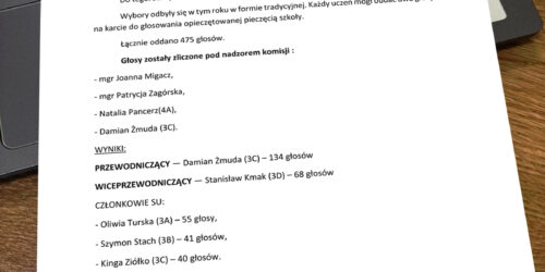 Raport z wyborów do SU 2026